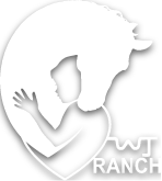 Runnin WJ Ranch