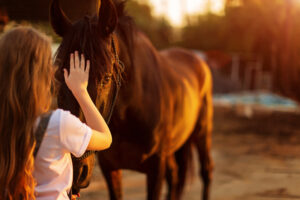 Therapy Horse Texarkana TX