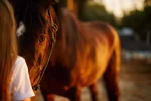 Horse Riding Therapy Texarkana