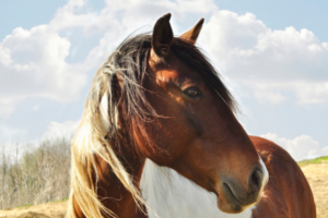 See The World In a New Way